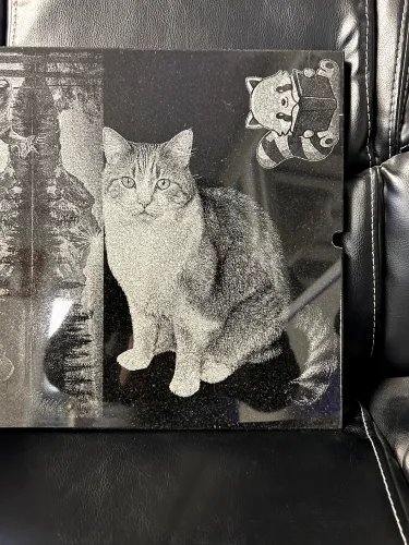 IMG 0894 (1) (1) (1)