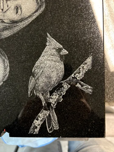 IMG 1069 (1) (1) (1)