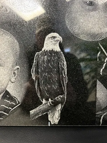 IMG 1213 (1) (1) (1)