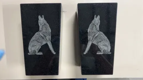 IMG 1656 (1) (1) (1)