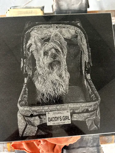 IMG 2215 (1) (1) (1)