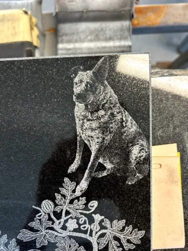 IMG 2224 (1) (1) (1)