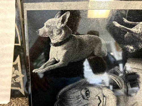 IMG 2225 (1) (1) (1)